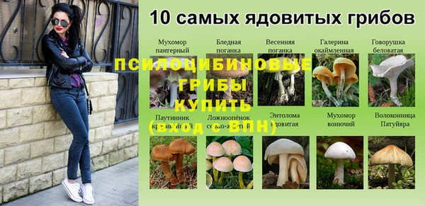 стафф Алексеевка