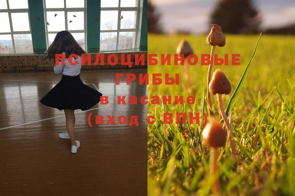 стафф Алексеевка