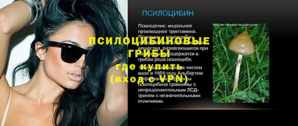 а пвп мука Алзамай