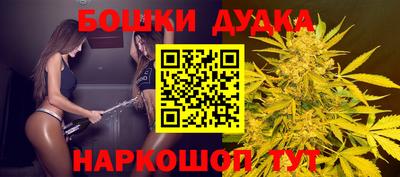 jwh Дубна