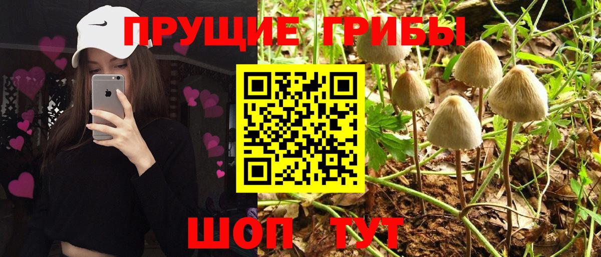 Ишим  Галлюциногенные грибы мицелий  как найти наркотики  Вход с VPN 